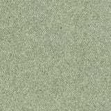Abingdon Wilton Royal - Royal Charter Deluxe Carpet Exen Flooring