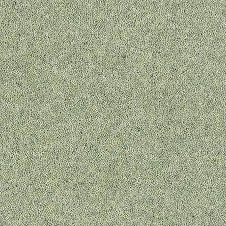 Abingdon Wilton Royal - Royal Charter Deluxe Carpet Exen Flooring