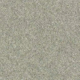 Abingdon Wilton Royal - Royal Charter Deluxe Carpet Exen Flooring