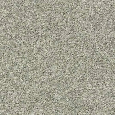 Abingdon Wilton Royal - Royal Charter Deluxe Carpet Exen Flooring