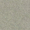 Abingdon Wilton Royal - Royal Charter Deluxe Carpet Exen Flooring