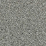 Abingdon Wilton Royal - Royal Charter Deluxe Carpet Exen Flooring
