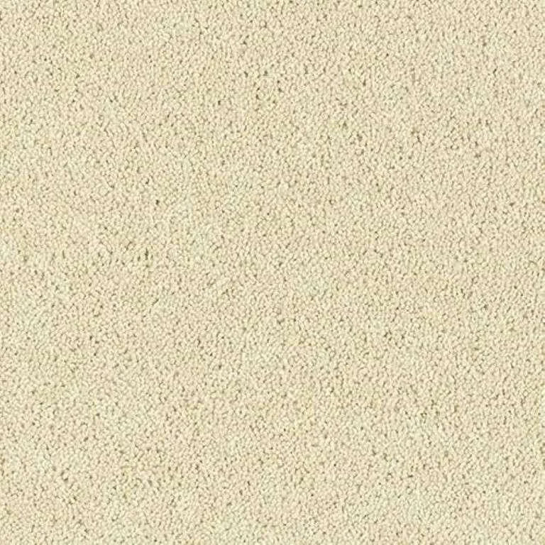 Abingdon Wilton Royal - Royal Charter Deluxe Carpet Exen Flooring