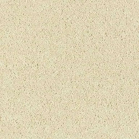 Abingdon Wilton Royal - Royal Charter Deluxe Carpet Exen Flooring