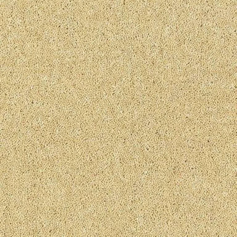 Abingdon Wilton Royal - Royal Charter Deluxe Carpet Exen Flooring