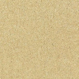 Abingdon Wilton Royal - Royal Charter Deluxe Carpet Exen Flooring