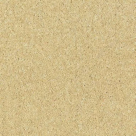 Abingdon Wilton Royal - Royal Charter Deluxe Carpet Exen Flooring