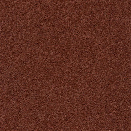 Axminster Devonia Carpet Exen Flooring