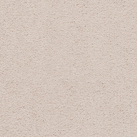 Axminster Devonia Carpet Exen Flooring
