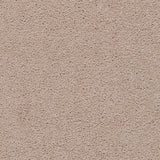Axminster Devonia Carpet Exen Flooring