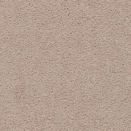 Axminster Devonia Carpet Exen Flooring