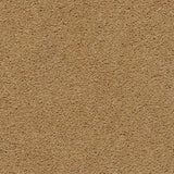 Axminster Devonia Carpet Exen Flooring