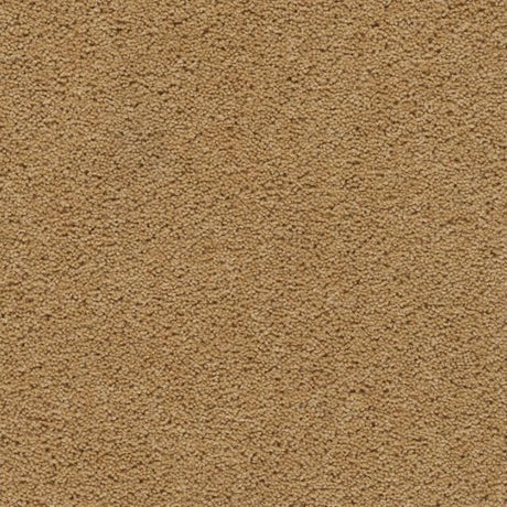 Axminster Devonia Carpet Exen Flooring