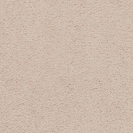 Axminster Devonia Carpet Exen Flooring