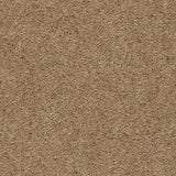 Axminster Moorland Carpet Exen Flooring