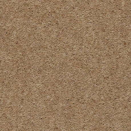 Axminster Moorland Carpet Exen Flooring