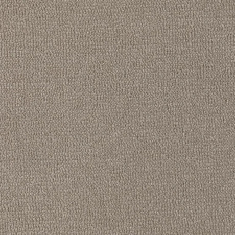 Axminster Velvet Collection Carpet Exen Flooring