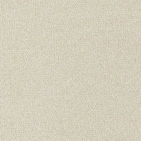 Axminster Velvet Collection Carpet Exen Flooring