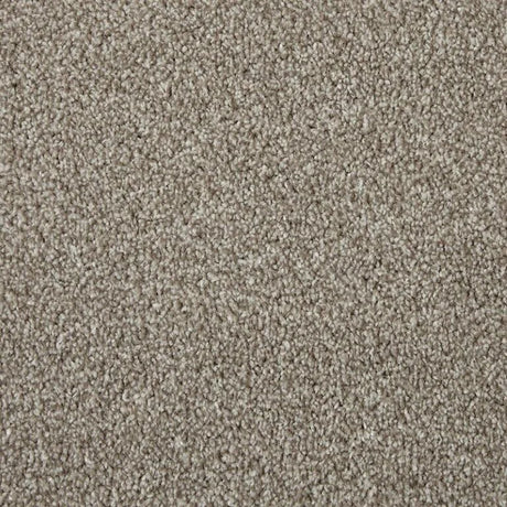 Cormar Apollo Elite Carpet Exen Flooring