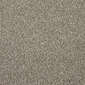 Cormar Apollo Elite Carpet Exen Flooring