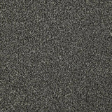 Cormar Apollo Elite Carpet Exen Flooring