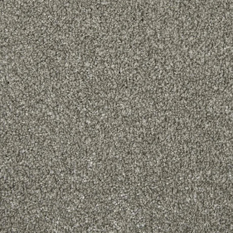Cormar Apollo Elite Carpet Exen Flooring