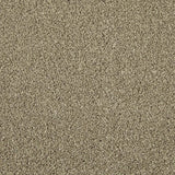 Cormar Apollo Elite Carpet Exen Flooring