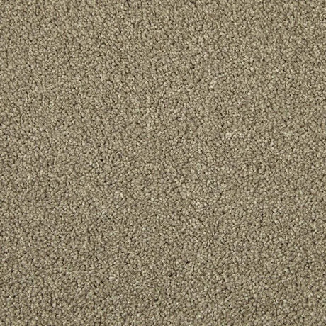 Cormar Apollo Elite Carpet Exen Flooring