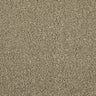 Cormar Apollo Elite Carpet Exen Flooring