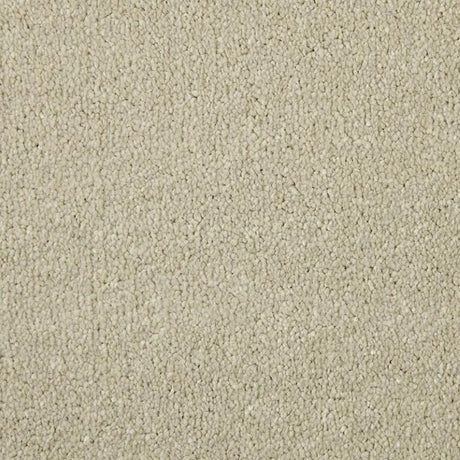 Cormar Apollo Elite Carpet Exen Flooring