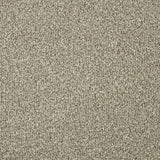 Cormar Apollo Elite Carpet Exen Flooring