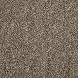 Cormar Apollo Elite Carpet Exen Flooring