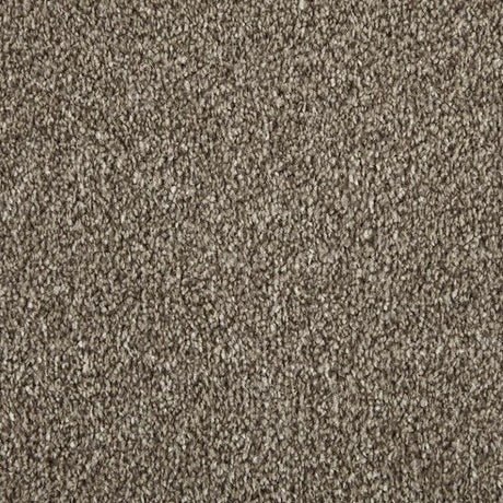 Cormar Apollo Elite Carpet Exen Flooring