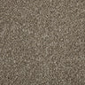 Cormar Apollo Elite Carpet Exen Flooring