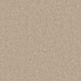 Cormar Kingston Classic Carpet Exen Flooring