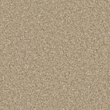 Cormar Kingston Classic Carpet Exen Flooring
