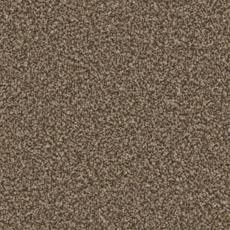 Cormar Kingston Classic Carpet Exen Flooring