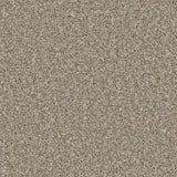Cormar Kingston Classic Carpet Exen Flooring