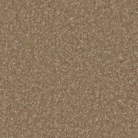 Cormar Kingston Elite Carpet Exen Flooring