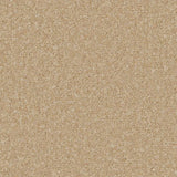 Cormar Kingston Elite Carpet Exen Flooring