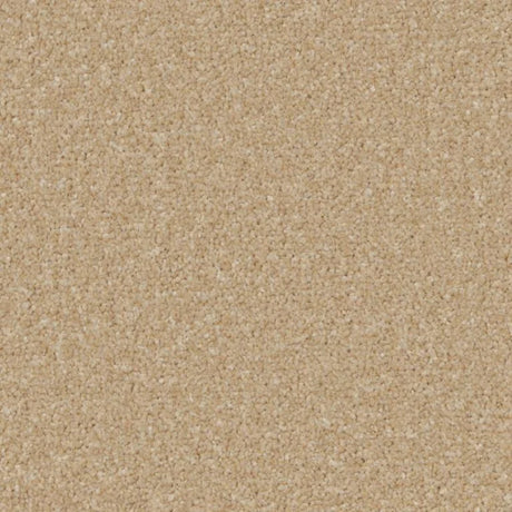 Cormar Kingston Elite Carpet Exen Flooring