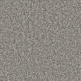 Cormar Kingston Elite Carpet Exen Flooring