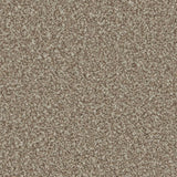 Cormar Kingston Elite Carpet Exen Flooring