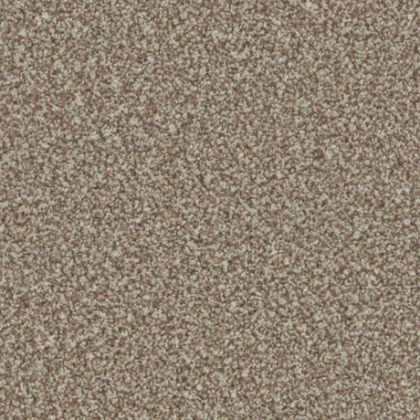 Cormar Kingston Elite Carpet Exen Flooring