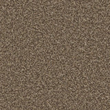 Cormar Kingston Elite Carpet Exen Flooring