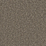 Cormar Kingston Elite Carpet Exen Flooring