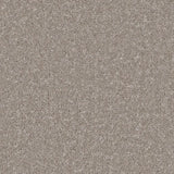 Cormar Kingston Elite Carpet Exen Flooring