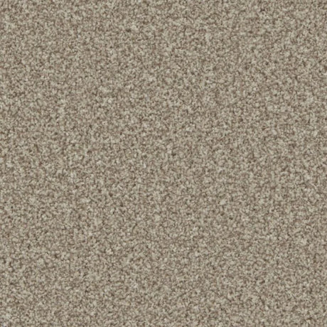 Cormar Kingston Elite Carpet Exen Flooring