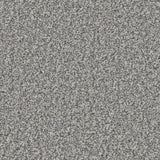 Cormar Kingston Elite Carpet Exen Flooring