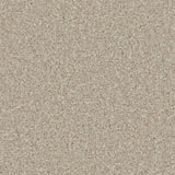 Cormar Kingston Elite Carpet Exen Flooring